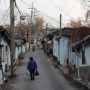 할머니김밥 이미지