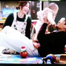 양이펀치 이미지