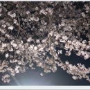 악양초등학교 이미지