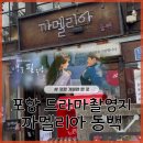동백꽃필무렵 | 포항 가볼만한 곳 [까멜리아동백] 동백꽃 필 무렵 드라마 촬영지 방문후기