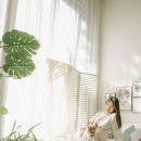 더꽃비사진관