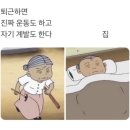 비스트주짓수김포 이미지