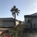 소랑제 바람 이미지