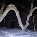 100-1-000058 이미지