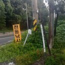 천동낚시 이미지