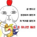 크로스핏디짐 이미지