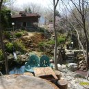 청강농원 이미지