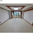 참조은 애견 이미지