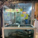 바로바로 횟집 이미지