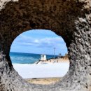 (주)그린파마 이미지