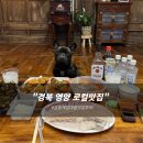 경북 영양 맛집 어전회, 행복통닭, 달식당 포장 후기! 애견 동반 식당 X 스테이영양에서 즐기기