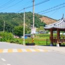 화월농장 2 네이버블로그