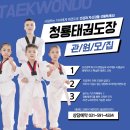 석사용인대태권도 이미지