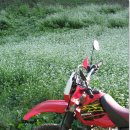 구병마을 이미지