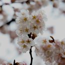 곡성군청 이미지