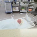 달달약국 | [출산일기]순천 미즈여성병원 입원부터 출산 1일차까지 제왕절개 생생후기