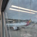 122 | 아시아나 OZ122 나고야행 후기 / 나고야 중부공항 -&gt; 사카에 뮤스카이로 가는 법