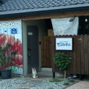 (주)이마트에브리데이 전북임실점 | [완주여행] 초여름, 완주 촌캉스로 쉬어가기 | 감성 숙소 빵긋하우스, 화산손두부