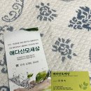 안성 출장산후관리 애다산모세상 조리원 퇴소 후 산전 산후관리 추천