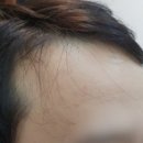 조이모 이미지