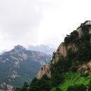 물흐르듯 이미지