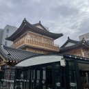 대구혁신도시 JB관광호텔 이용 후기 (송호지 산책)