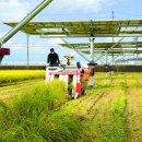 해바라기태양광 이미지