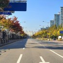 정자천로 이미지