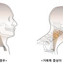 필며들다필라테스전문스튜디오