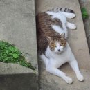 용식농장 이미지