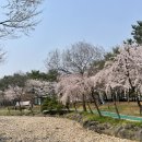 피피케이크샵 이미지