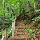 대관령 그림같은 펜션 이미지