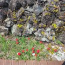 소담이네 돌집 이미지