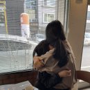 카페브루 이미지