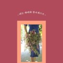 나도 플로리스트 네이버블로그