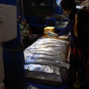 동문수산시장 이미지