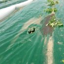 금원농장 이미지