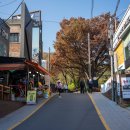 단풍은 놓쳤지만 뿌듯했던 청계산 옥녀봉 등산 후기