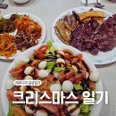 레모니홈 | 레모니의 일상일기 - 크리스마스가 생일인 자의 집콕 크리스마스