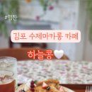 하늘콩마카롱