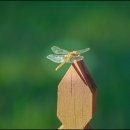 옥경목장 이미지