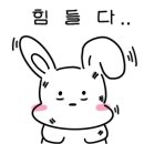 에스테티크 네이버블로그