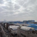 다올부동산공인중개사사무소 이미지