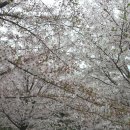 옥란 농장 이미지