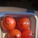 윤머리방 네이버블로그