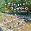 중앙길손식당 | 서울에서 1시간, 동두천 탑동계곡 vs 왕방계곡 비교 주차 꿀팁과 여름 여행 추천 이유