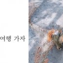 댕댕# 이미지