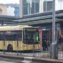 영화로 친해지는 오페라 인문학 | [시드니 일기] 1월 일상/두쫀쿠 사랑해