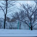 아이빈커피 이미지