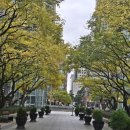 하이페리온목동공인중개사사무소 이미지